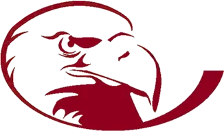 lock-haven-bald-eagles-logo