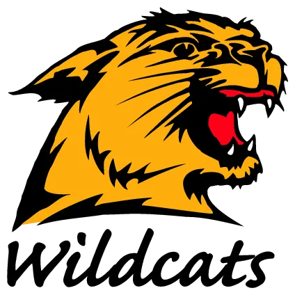 northern-michigan-wildcats-logo