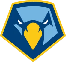 point-skyhawks-logo