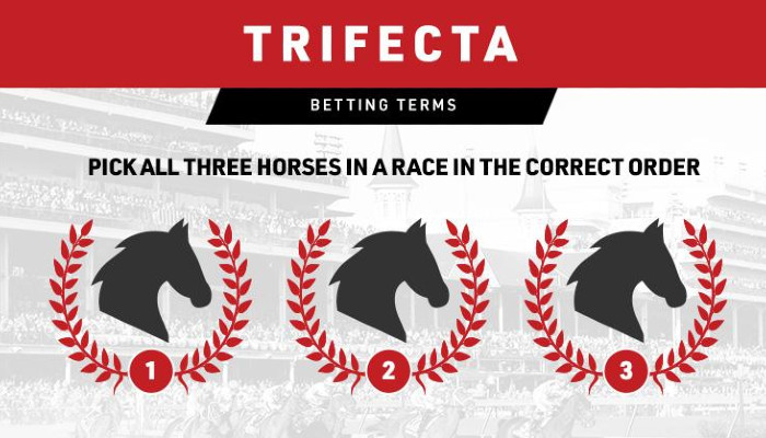 What Is a Trifecta Bet