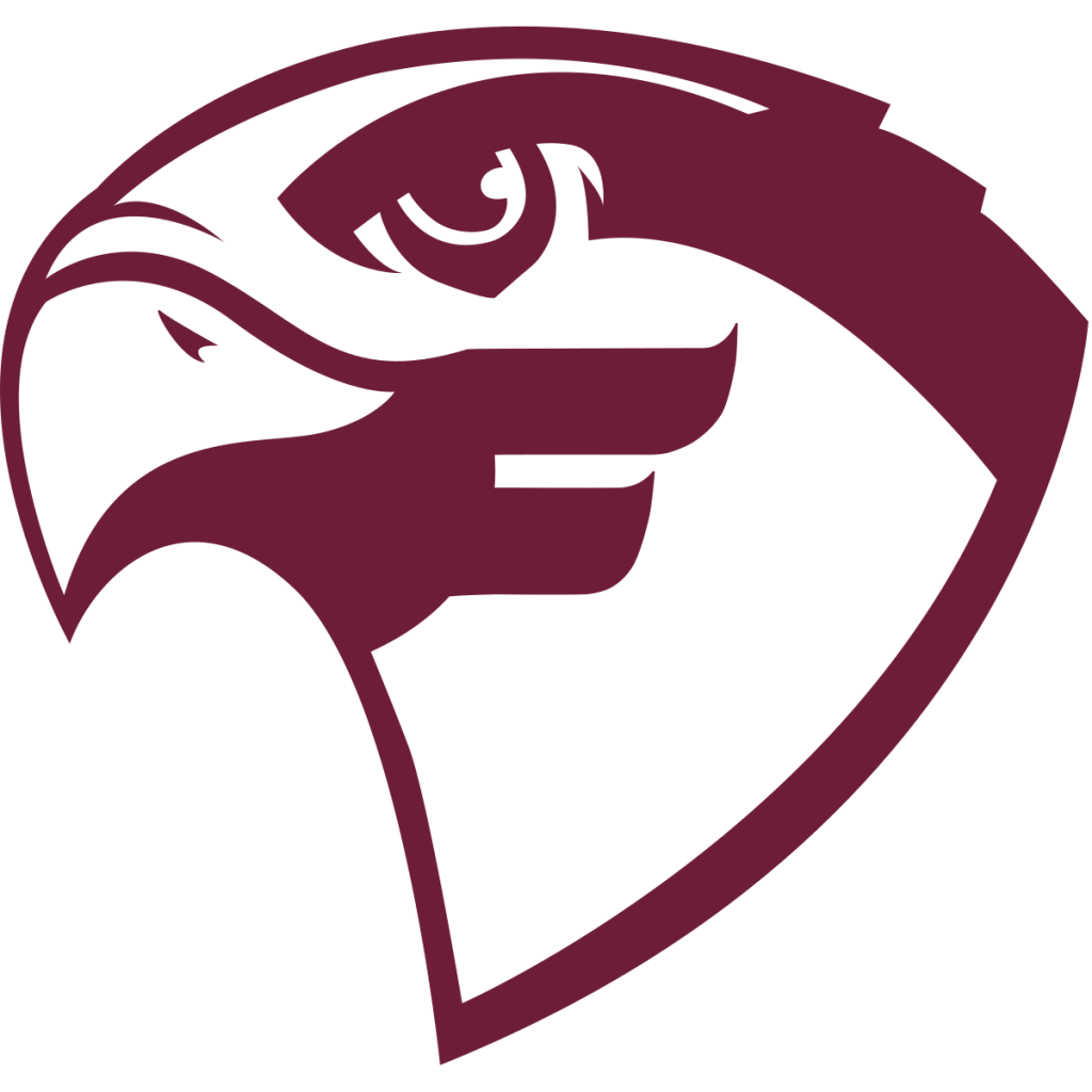 Fairmont State Fighting Falcons 2 Fairmont State Fighting Falcons