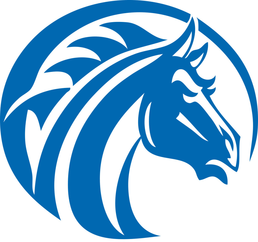 Fayetteville St Broncos 2 Fayetteville St. Broncos