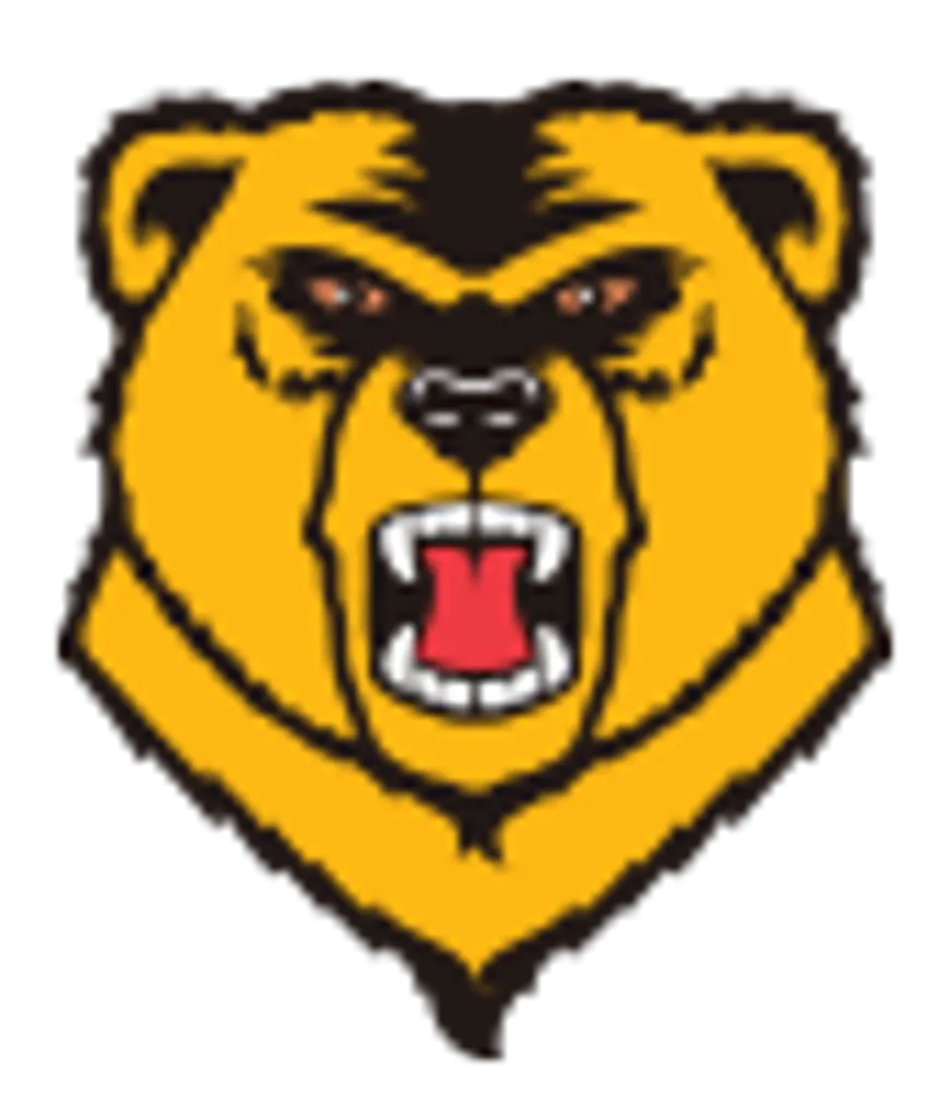 bear-large-logo