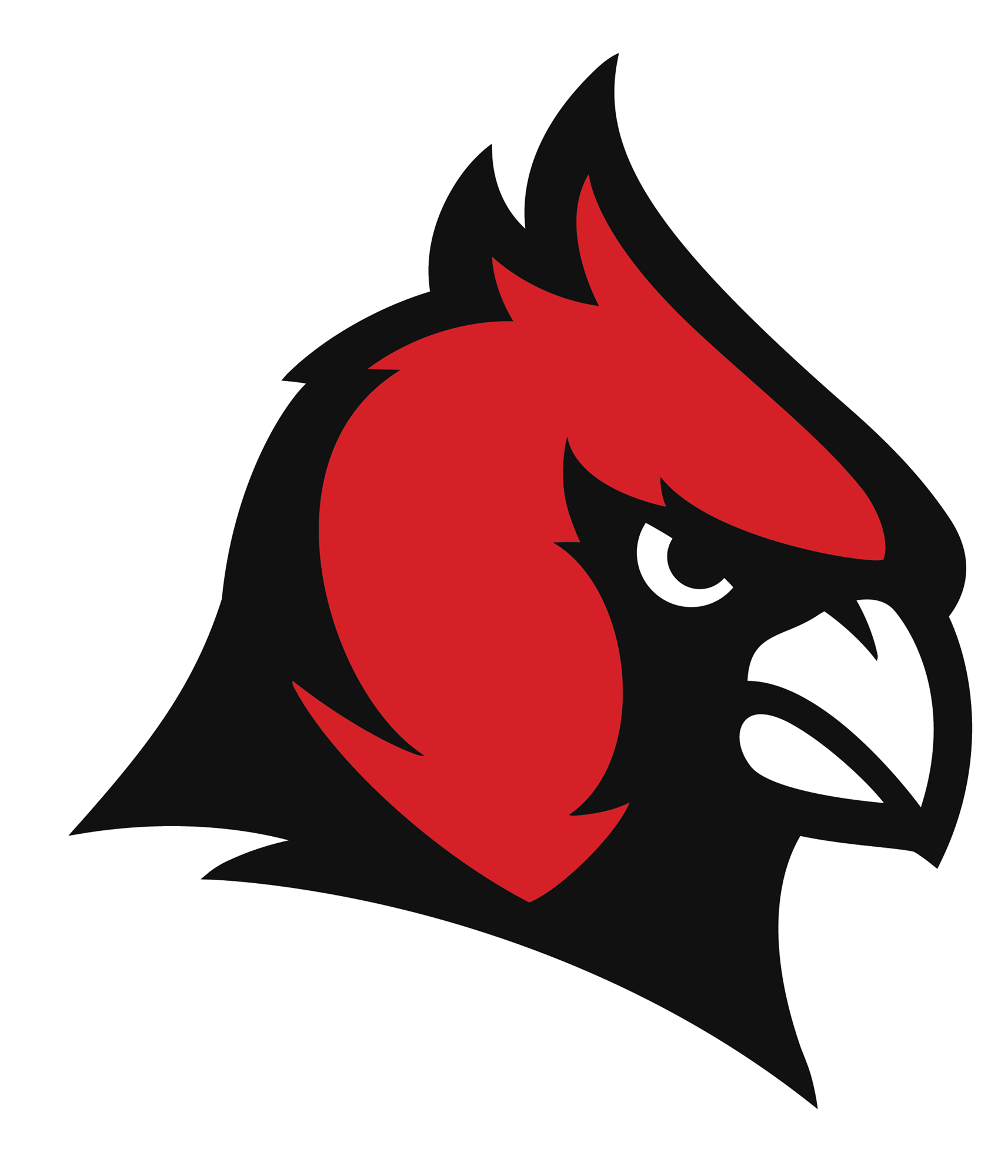 concordia cardinals