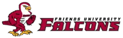 friends-falcons-logo