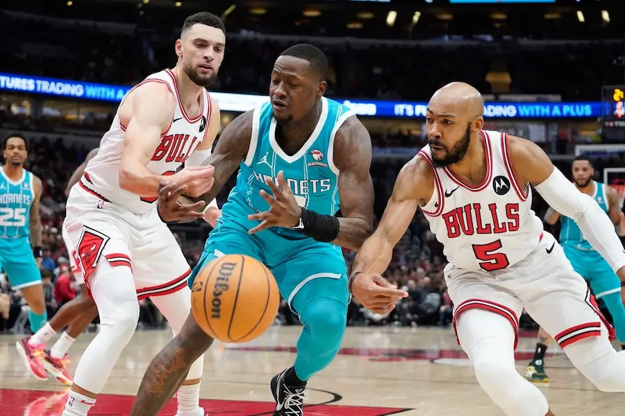 hornets player vs 2 bulls players