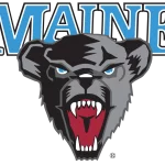 Maine Black Bears