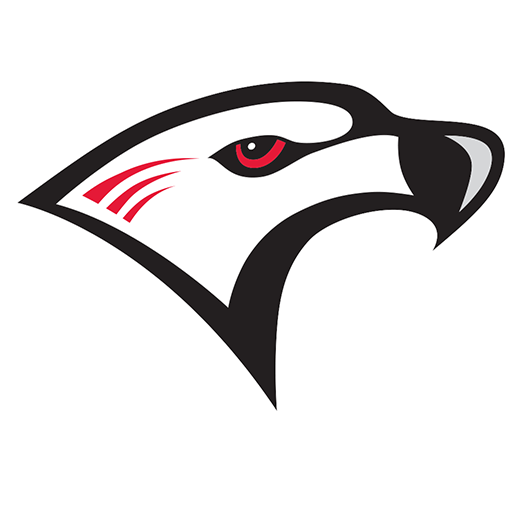 Florida College Falcons 2 Florida College Falcons