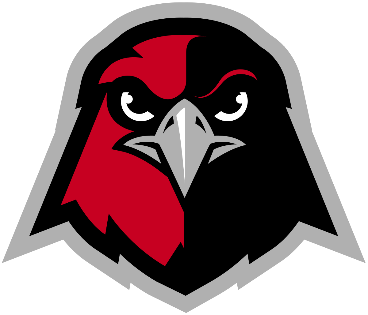 Holy Names Hawks