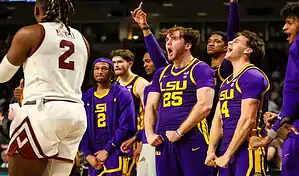 LSU Tigers basketball players celebrate on the bench during a game against South Carolina Gamecocks.