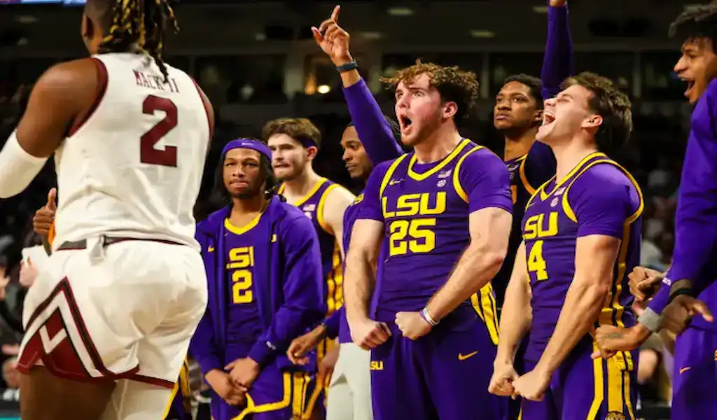 LSU Tigers basketball players celebrate on the bench during a game against South Carolina Gamecocks.