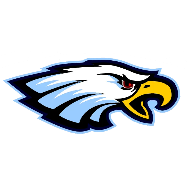 Emory Eagles 2 emory-eagles