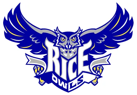 rice-owls