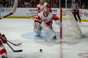 Detroit Red Wings goalie tracks the puck in front of the net during gameplay.