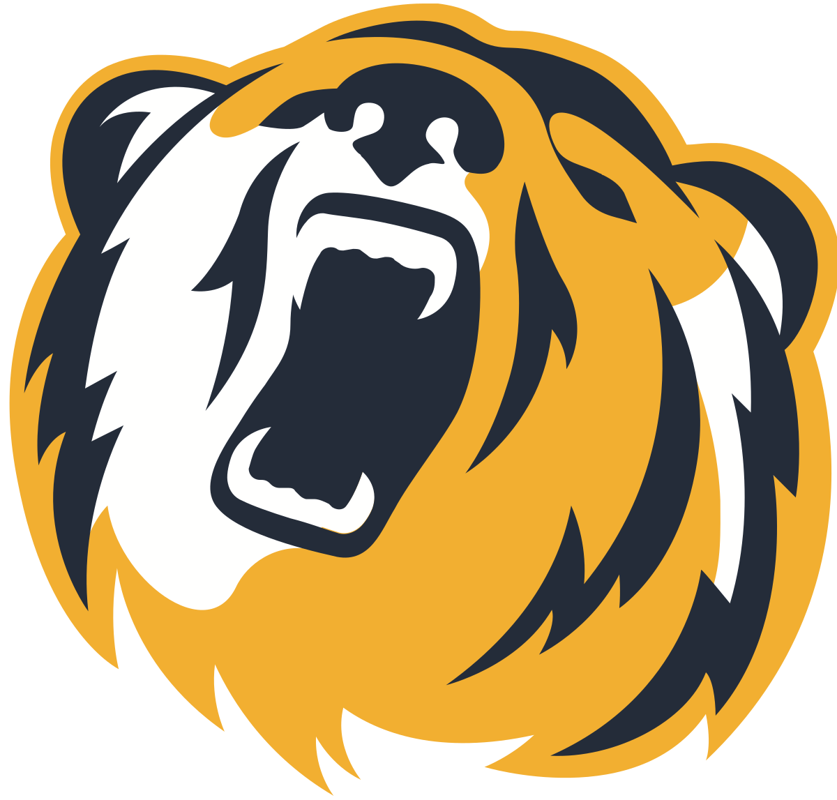 NYIT Bears