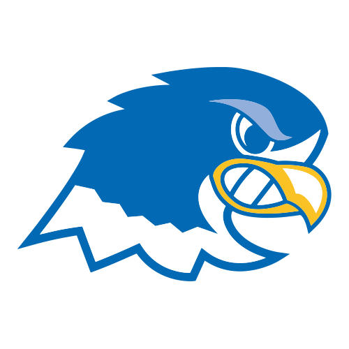 Notre Dame College Falcons 2 Notre Dame College Falcons