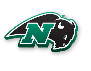 Nichols College Bison 2 nichols-college-bison