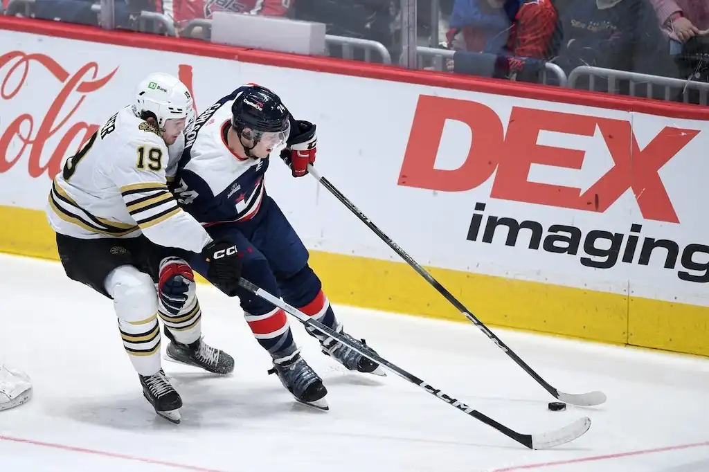 NHL 2 A Buffalo Sabres player battles for the puck along the boards.