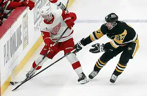 Detroit Red Wings player controls puck against Penguins defender.