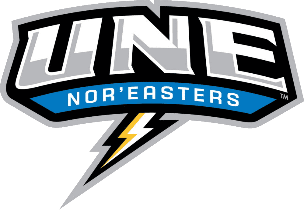 New England Noreasters 1 20190413071120 622 mascotOrig