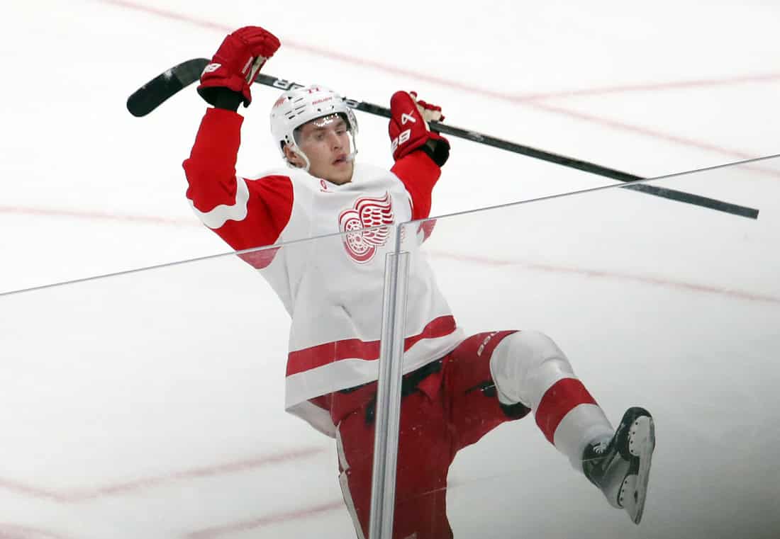 NHL 5 Red Wings Player Sliding