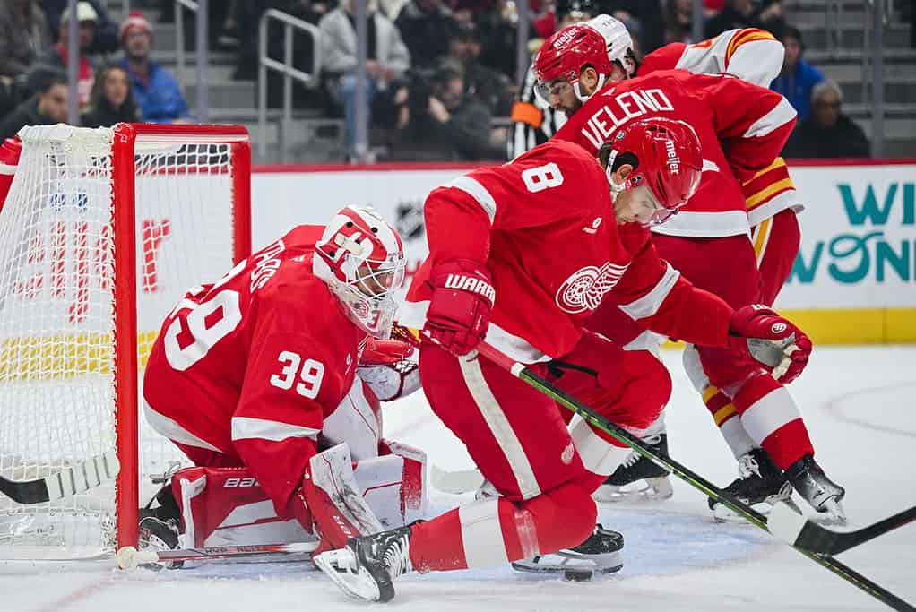 Detroit Red Wings vs New Jersey Devils Picks and Predictions November 29th 2024