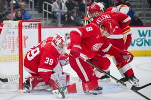 Detroit Red Wings vs New Jersey Devils Picks and Predictions November 29th 2024