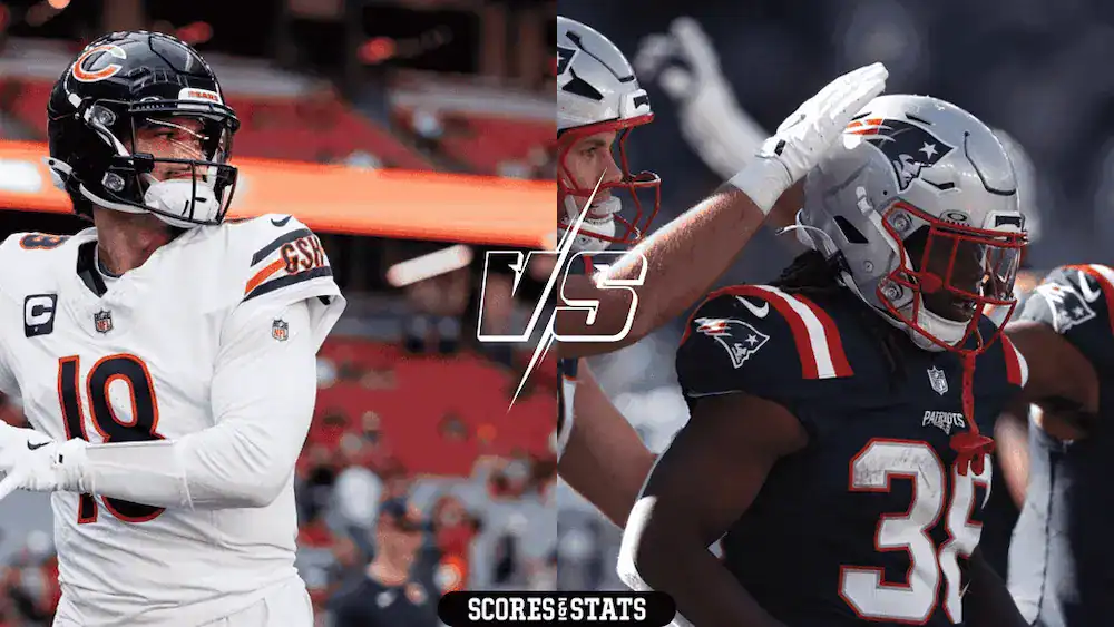 bears-patriots banner