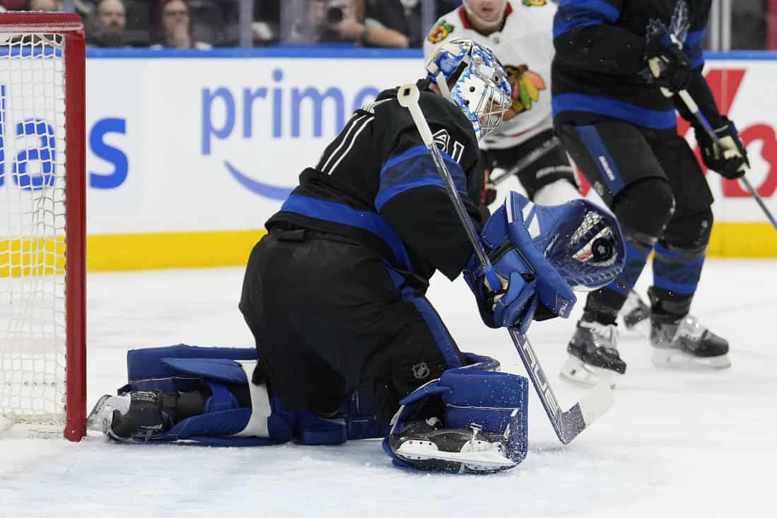 NHL 4 Mapple leafs goaltender