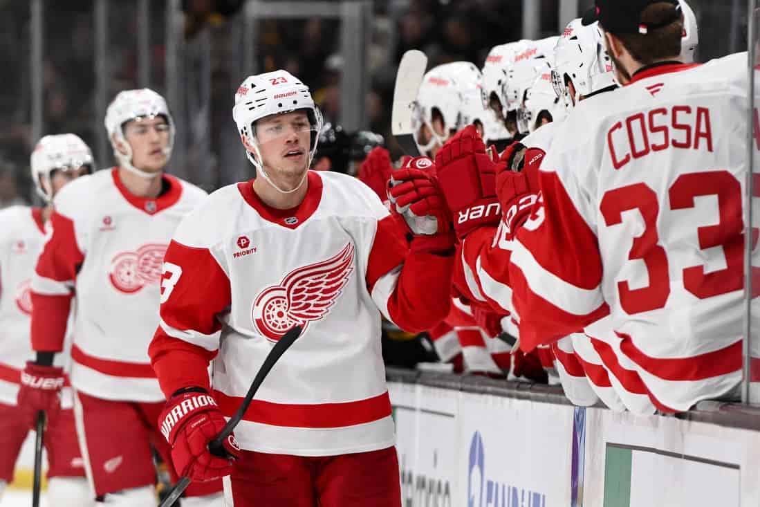 NHL 9 Buffalo Sabres vs Detroit Red Wings Picks and Predictions December 9th 2024