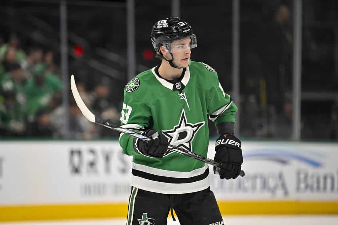 NHL 8 Stars Player