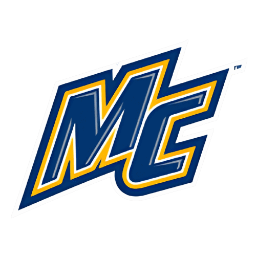 logo 100