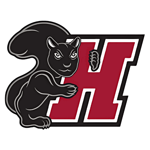 Haverford Fords 2 logo 42