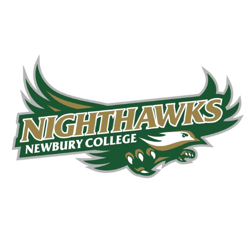 Newbury College Nighthawks 2 logo 77