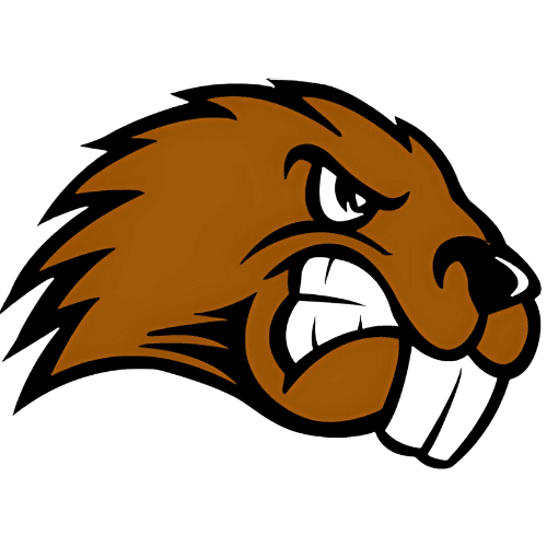 Maine Farmington Beavers 1 logo 81