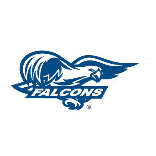 Messiah Falcons 2 logo 98