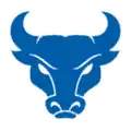 College Football Previews 8 Buffalo