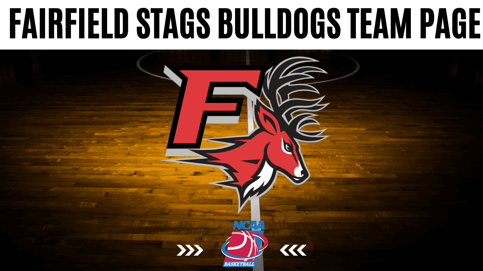 Fairfield Stags stats, schedule, and betting odds overview.