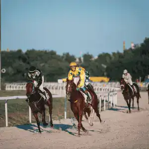 How to Bet on the Kentucky Derby 2 kentucky derby