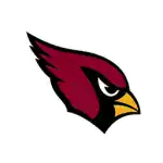 Team Arizona Cardinals 1758557208