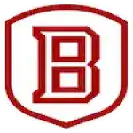 team Bradley Braves 1763132637