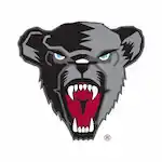 team Maine Black Bears 1763061227