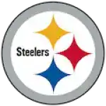 Team Pittsburgh Steelers 1758557207