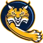 team Quinnipiac Bobcats 1763135031