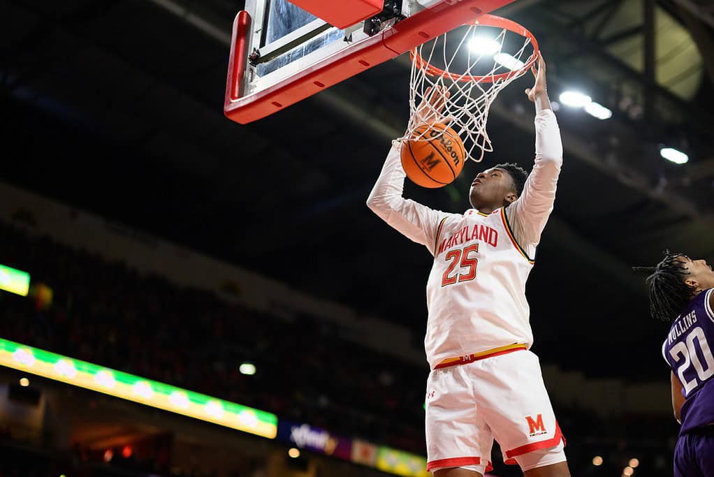 Maryland Terrapins