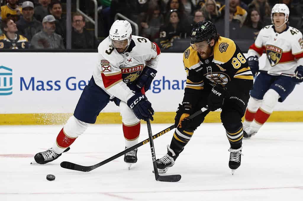 Florida Panthers Player Dribbling