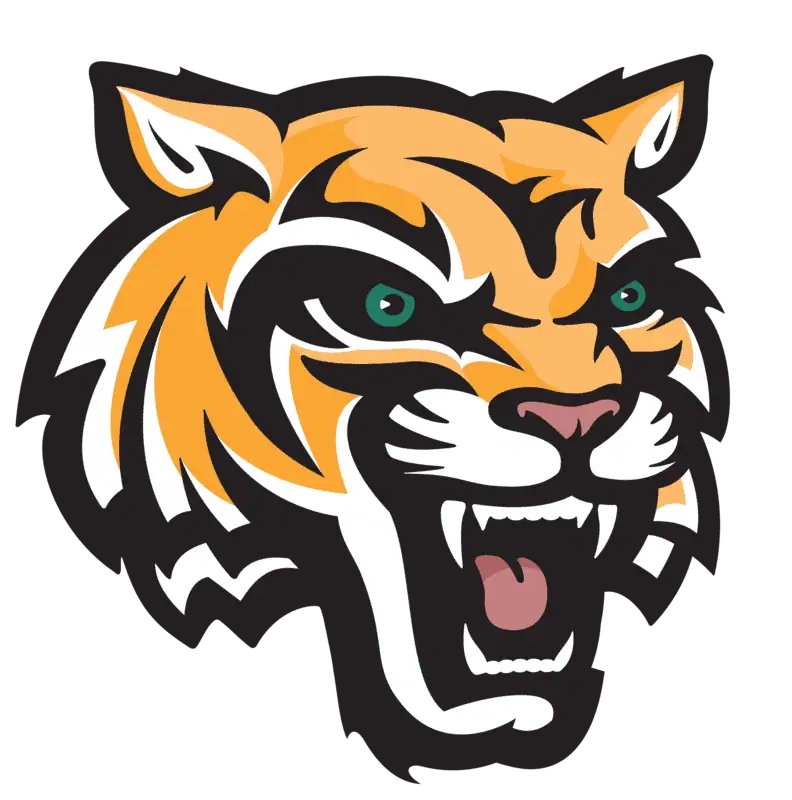 Stylized roaring tiger head logo on a black background.