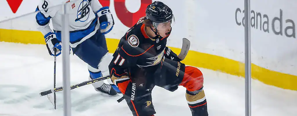 Anaheim Ducks player celebrates after scoring during NHL game