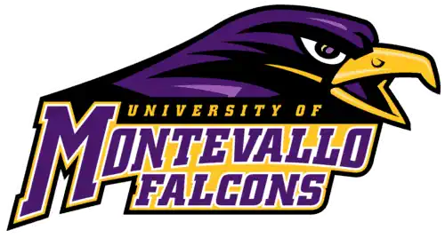 Montevallo Falcons 2 Montevallo Falcons Logo