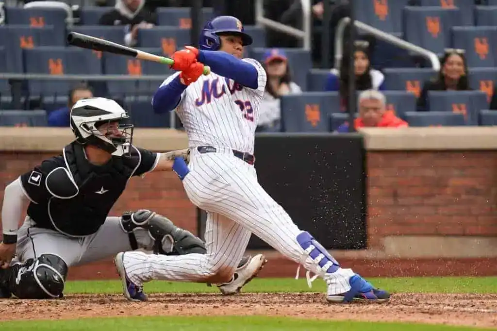 NY Mets Bat
